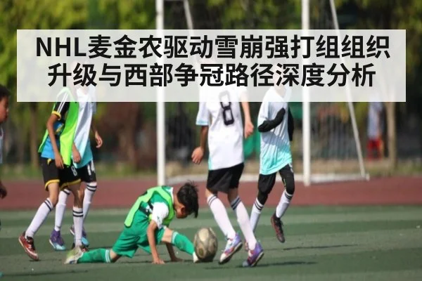 NHL麦金农驱动雪崩强打组组织升级与西部争冠路径深度分析（kaiyun）